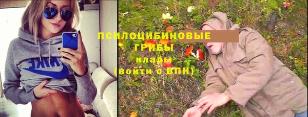 тгк Богородск