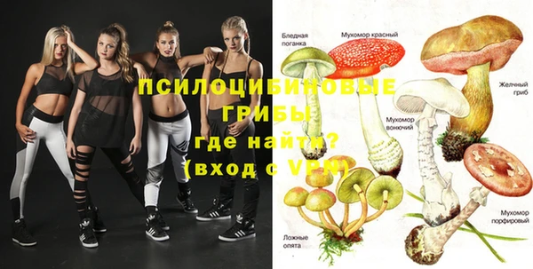 меф Богородицк