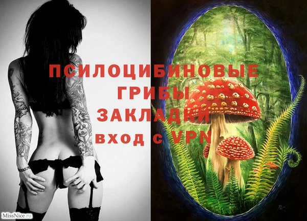 меф Богородицк
