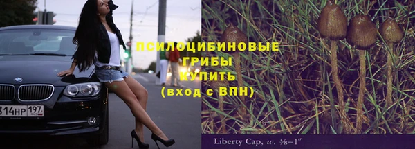 меф Богородицк