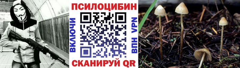 купить закладку  Кириллов  Галлюциногенные грибы мухоморы 